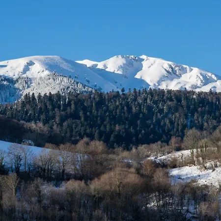 Vie D'estive * Bagneres-de-Bigorre