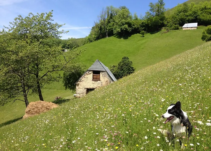 بيت للعطل Vie D'estive Bagnères-de-Bigorre