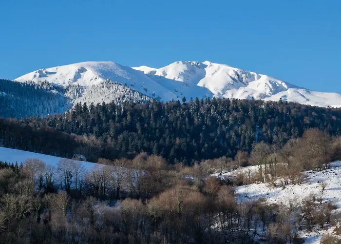 Vie D'estive * Bagnères-de-Bigorre