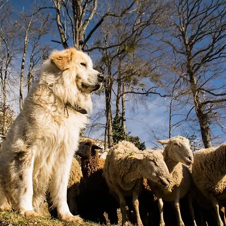 Vie D'estive Hébergement de vacances