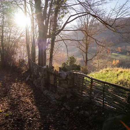 Vie D'estive Bagnères-de-Bigorre