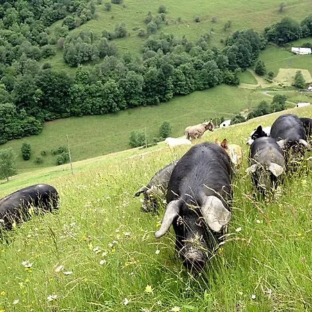 Vie D'estive Bagneres-de-Bigorre