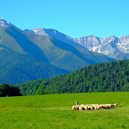 Homestay Vie D'estive