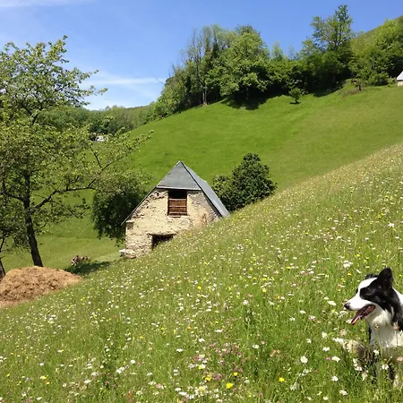 Séjour chez l'habitant Vie D'estive *